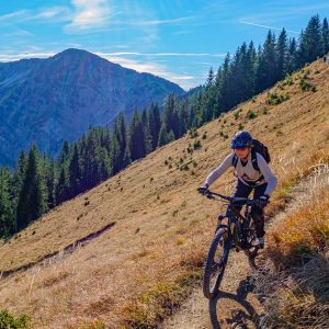 2021_10_huehner_bild_5 2021_10_huehner_bild_5