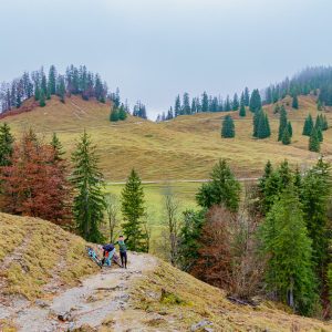 2021_11_schildenstein_bild_1 2021_11_schildenstein_bild_1