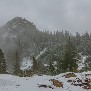 2021_11_schildenstein_bild_3 2021_11_schildenstein_bild_3