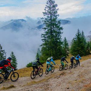 2021_11_schildenstein_bild_5 2021_11_schildenstein_bild_5