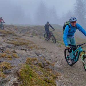 2021_11_schildenstein_bild_6 2021_11_schildenstein_bild_6