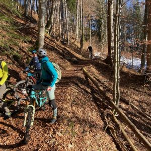 2021_12_gallaun_bild_4 2021_12_gallaun_bild_4