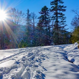 2022_01_enning_bild_4 2022_01_enning_bild_4