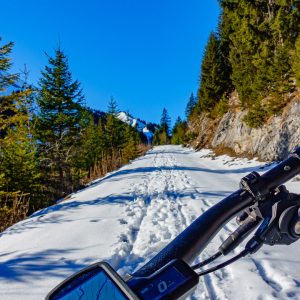 2022_01_enning_bild_5 2022_01_enning_bild_5