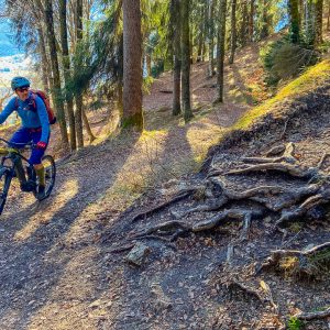 2022_01_königstand_bild_2