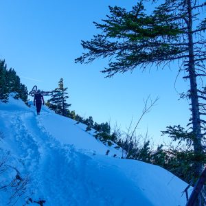 2022_02_hirschberg_bild_2 2022_02_hirschberg_bild_2