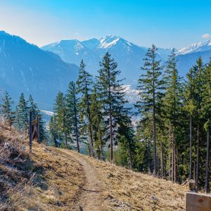 2022_03_aufacker_bild_2 2022_03_aufacker_bild_2