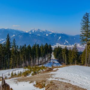 2022_03_aufacker_bild_3 2022_03_aufacker_bild_3