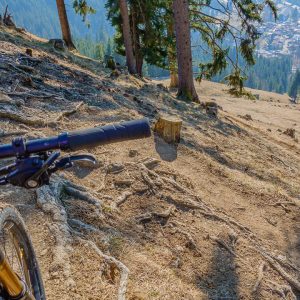 2022_03_aufacker_bild_5 2022_03_aufacker_bild_5