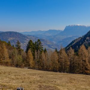 2022_03_tramin_bild_1.1 2022_03_tramin_bild_1.1