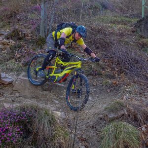 2022_03_tramin_bild_1.3 2022_03_tramin_bild_1.3