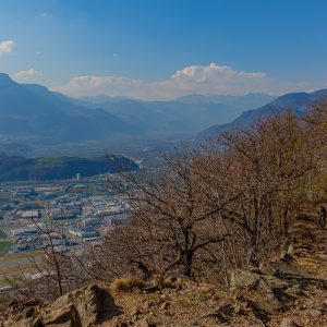 2022_03_tramin_bild_1.5 2022_03_tramin_bild_1.5