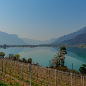 2022_03_tramin_bild_2.1 2022_03_tramin_bild_2.1