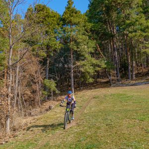 2022_03_tramin_bild_3.1 2022_03_tramin_bild_3.1