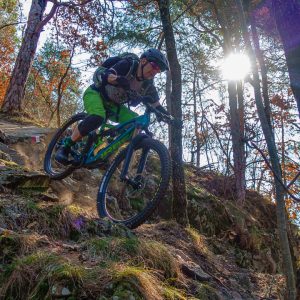 2022_03_tramin_bild_3.2 2022_03_tramin_bild_3.2