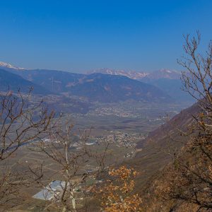 2022_03_tramin_bild_3.3 2022_03_tramin_bild_3.3