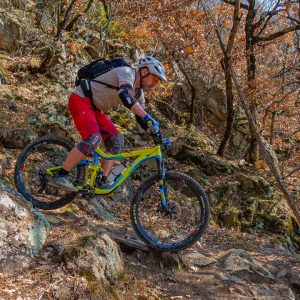 2022_03_tramin_bild_3.4 2022_03_tramin_bild_3.4