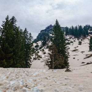 2022_04_bodenschneid_bild_1 2022_04_bodenschneid_bild_1