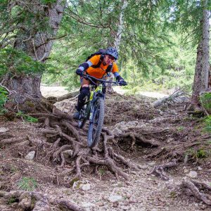 2022_04_bodenschneid_bild_6 2022_04_bodenschneid_bild_6