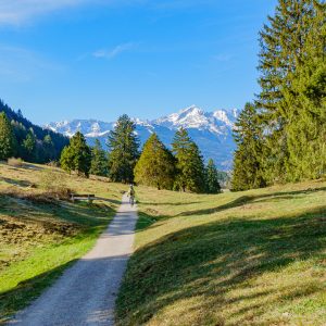 2022_04_wank_bild_1 2022_04_wank_bild_1