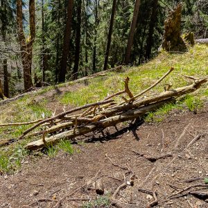 2022_04_osterfeuer_bild_2