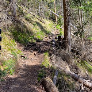 2022_04_osterfeuer_bild_3