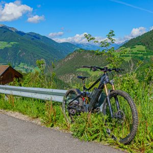 2022_06_rosadira_bild_1.1