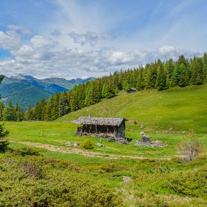 2022_06_rosadira_bild_1.4