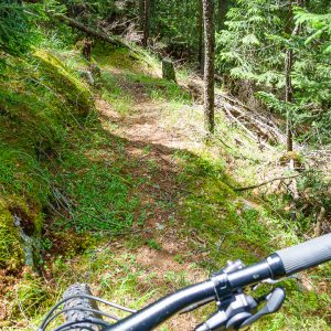 2022_06_rosadira_bild_1.5