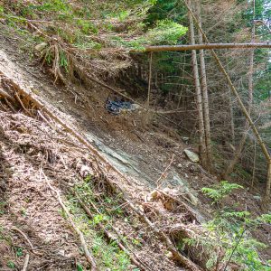 2022_06_rosadira_bild_1.6