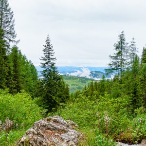 2022_06_rosadira_bild_2.4