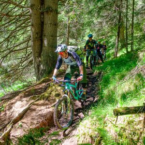 2022_06_rosadira_bild_4.3