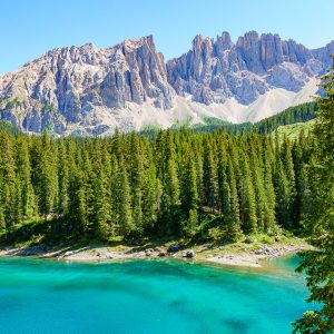 2022_06_rosadira_bild_4.5