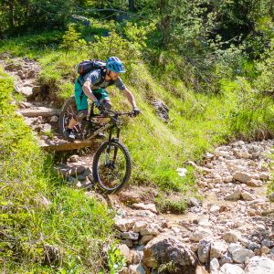 2022_06_rosadira_bild_5.2