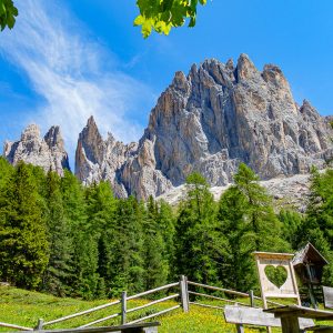 2022_06_rosadira_bild_5.5